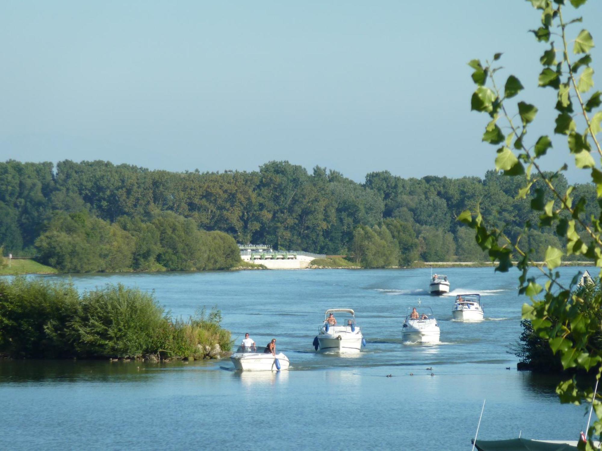 Camping & Pension Au An Der Donau Exteriör bild