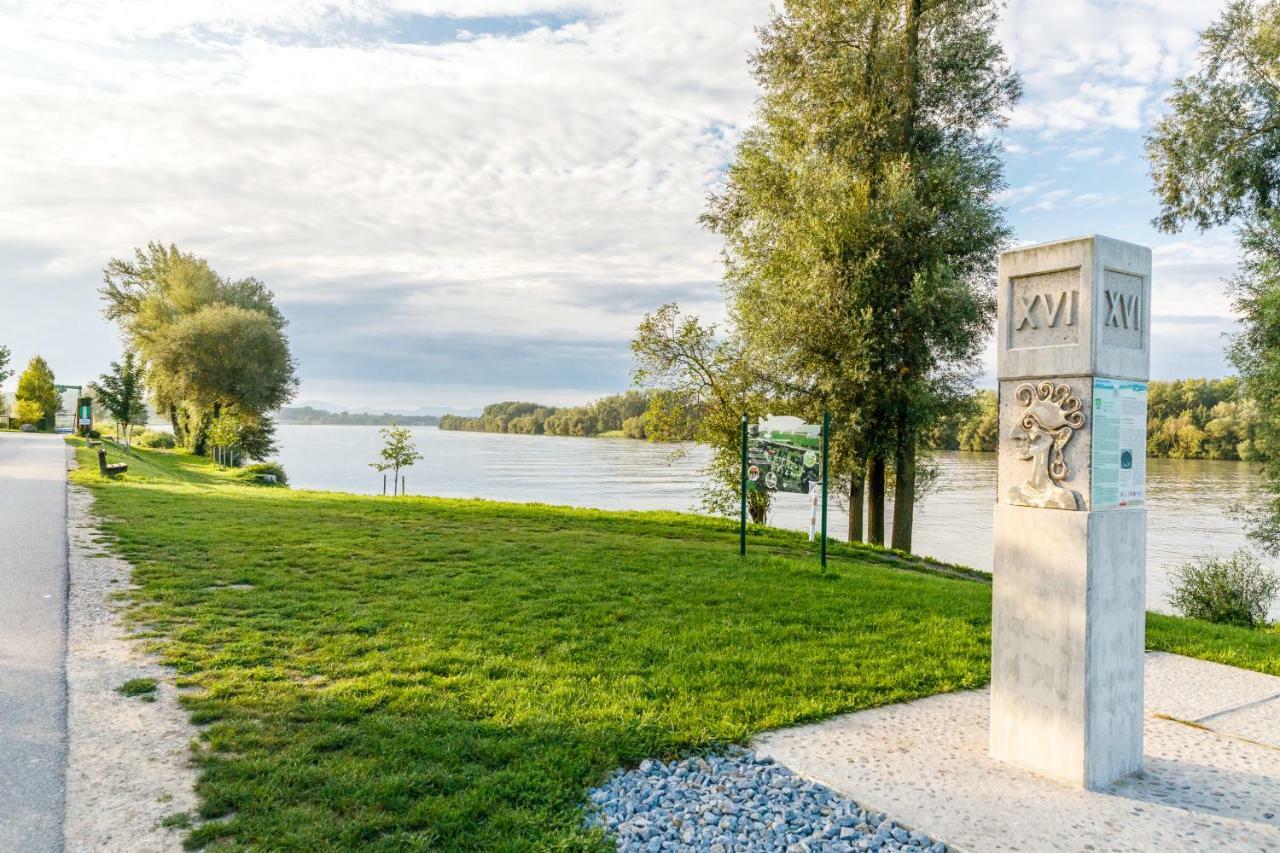 Camping & Pension Au An Der Donau Exteriör bild